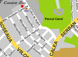 Locatie Condor Lux pantofi barbati